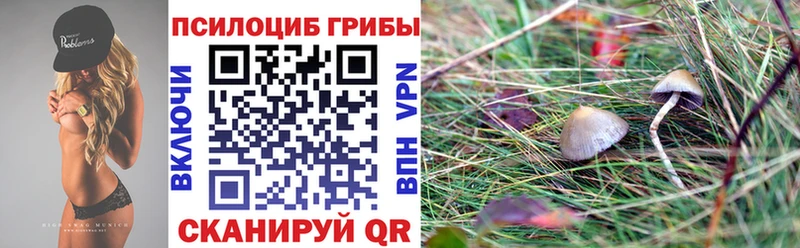 купить наркоту  Яранск  Галлюциногенные грибы MAGIC MUSHROOMS 