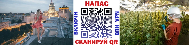 Шишки марихуана THC 21%  Яранск 